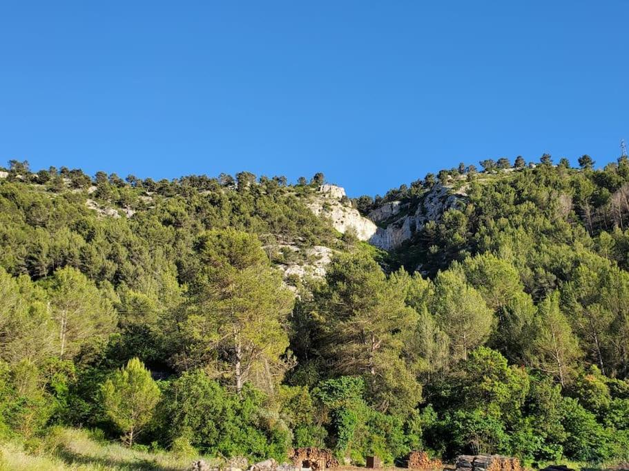 Les Prairies De Fenestrelle Spa & Piscine Au Calme Aubagne Exterior foto