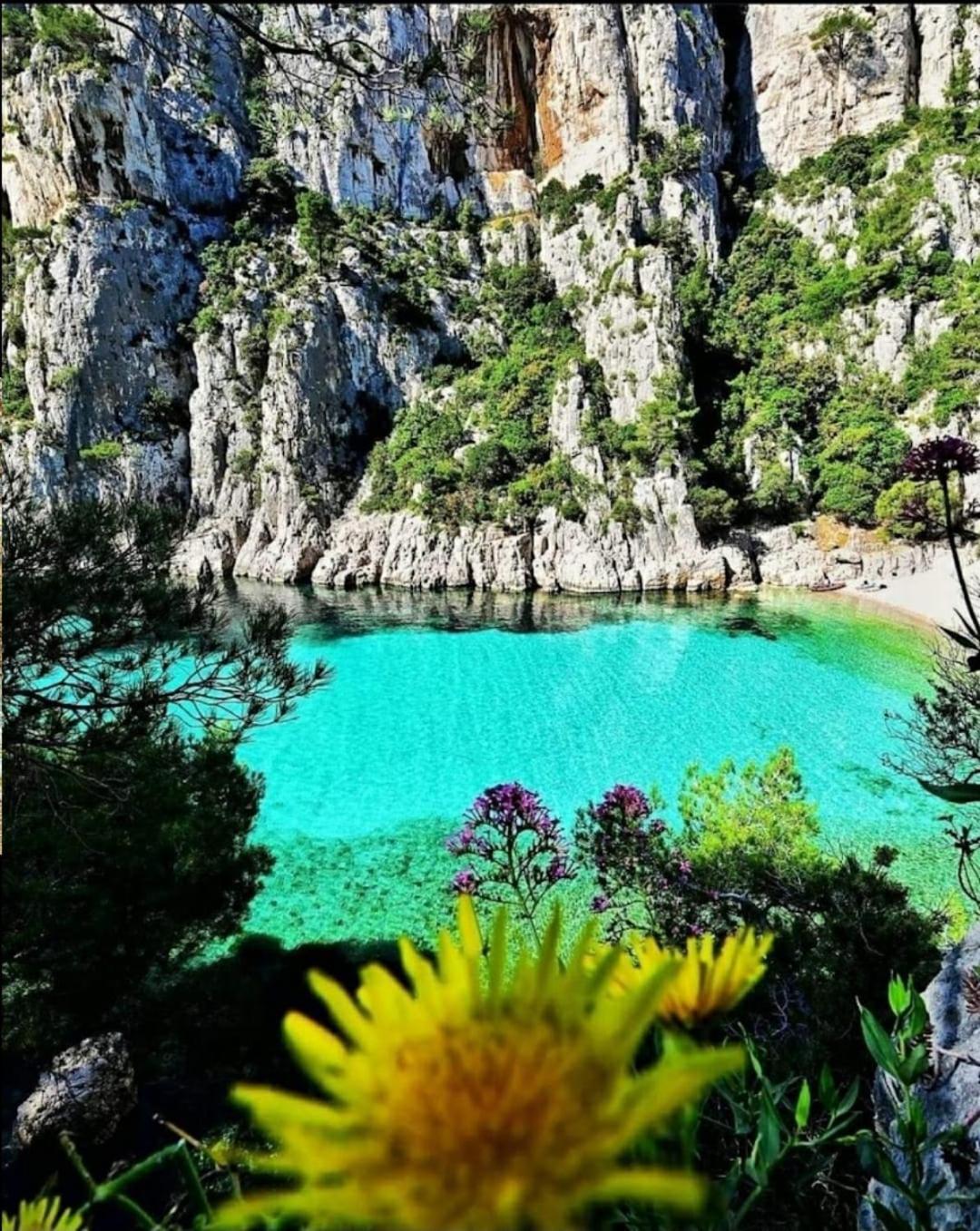 Les Prairies De Fenestrelle Spa & Piscine Au Calme Aubagne Exterior foto